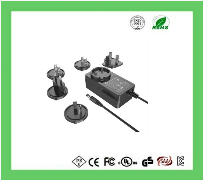 48W Interchangeable Power Adapter